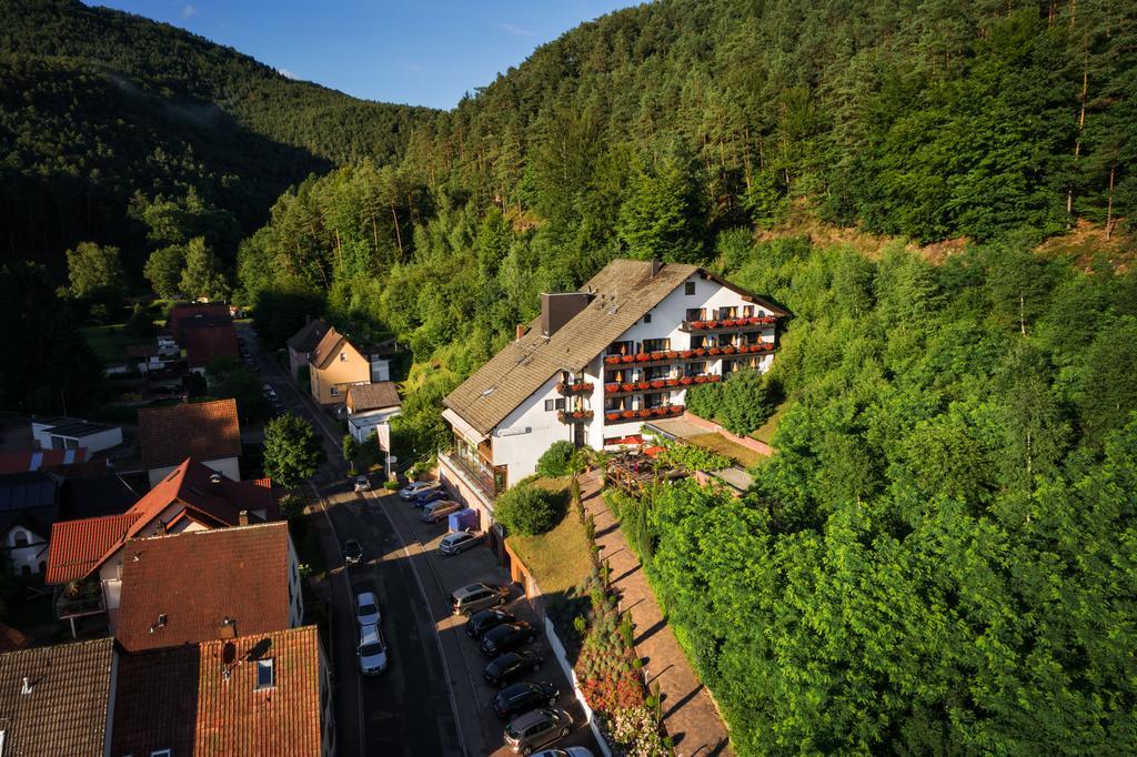 Hotel Die Kleine Blume Erfweiler Extérieur photo