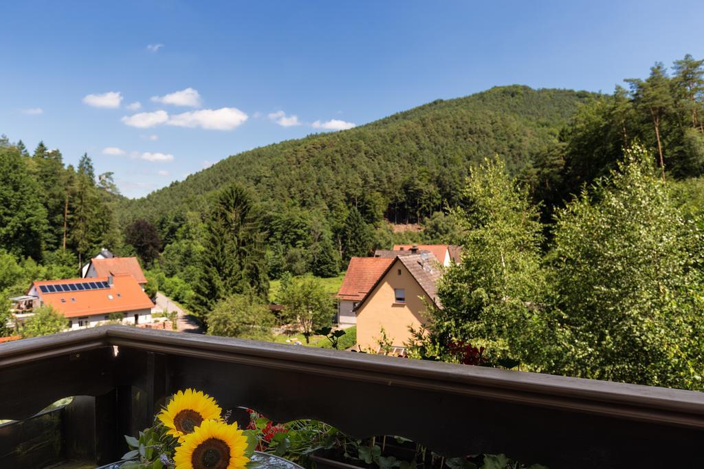 Hotel Die Kleine Blume Erfweiler Extérieur photo