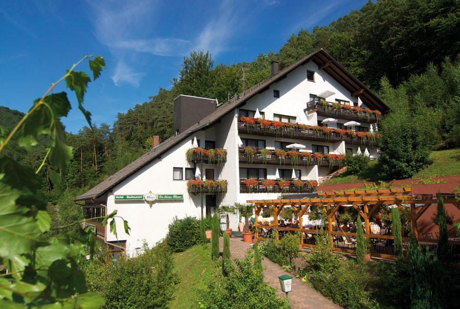 Hotel Die Kleine Blume Erfweiler Extérieur photo